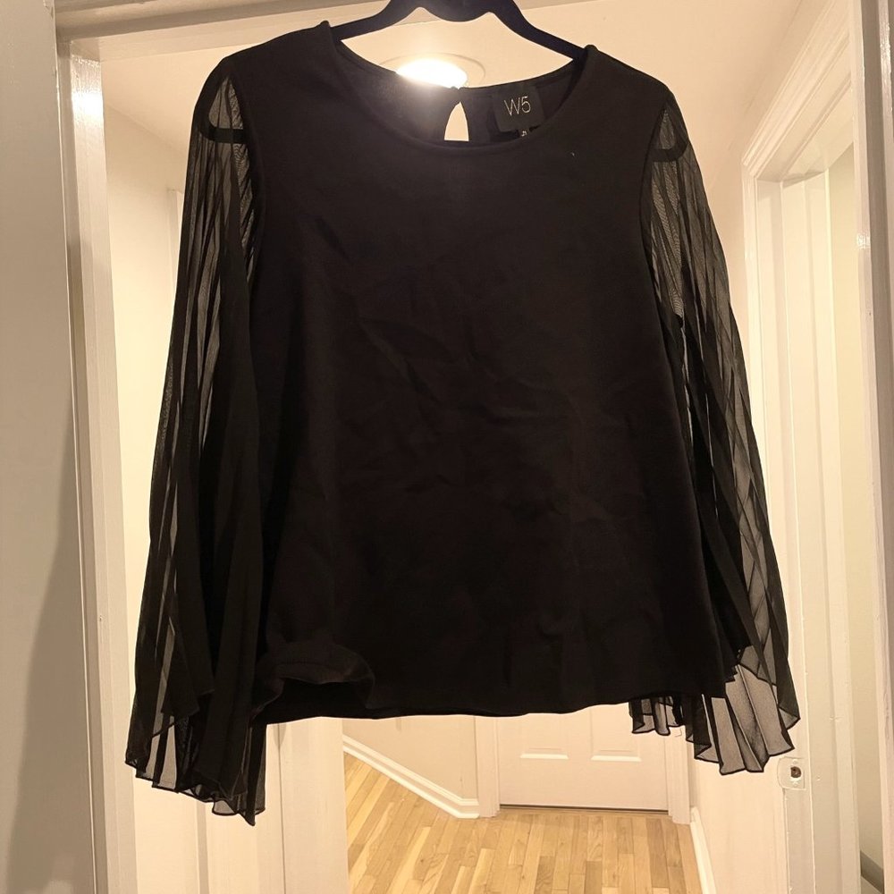Black Top with Sheer Pleated Sleeves